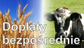 BEZPŁATNA POMOC  W WYPEŁNIANIU WNIOSKÓW  O DOPŁATY BEZPOŚREDNIE