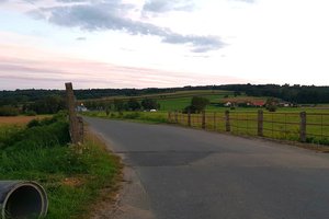 19.08.2025 - img_2751.jpg