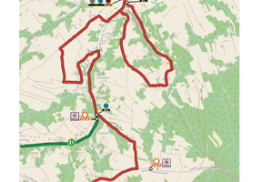 34. RAJD RZESZOWSKI - 13.png