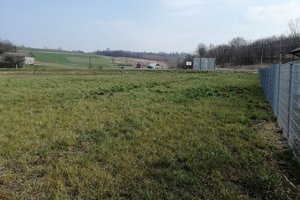 przed rozpoczęciem realizacji - 100257.jpg