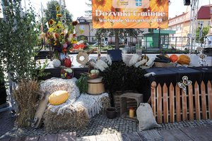 Święto Plonów 2019 - 0316.jpg