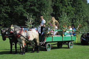 Święto Plonów 2019 - 0338.jpg
