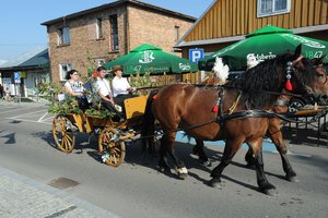 Święto Plonów 2019 - 0542.jpg