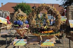 Święto Plonów 2019 - 0563.jpg