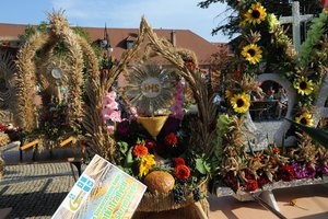 Święto Plonów 2019 - 0568.jpg