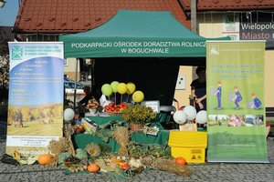 Święto Plonów 2019 - 0582.jpg