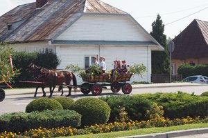 Tradycyjny Odpust Wielopolski 2019 - 1012828.jpg