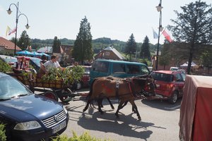 Tradycyjny Odpust Wielopolski 2019 - 1012840.jpg