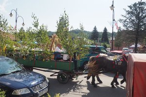 Tradycyjny Odpust Wielopolski 2019 - 1012841.jpg