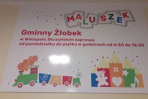 Otwarcie Gminnego Żłobka "Maluszek" w Wielopolu Skrzyńskim - 120540.jpg