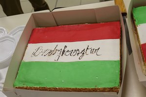 Wizyta Samorządu Gminy Wielopole Skrzyńskie w Reventin - Vaugris - 28.06.2019_59.jpg