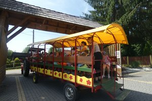 Wyjazd przedszkolaów  do Zagrody Edukacyjnej  w  ramach projektu pn. „Nowa Jakość Edukacji w Integracyjnym Przedszkolu Krasnala Hałabały” - 01.07.2019_08-47-446.jpg