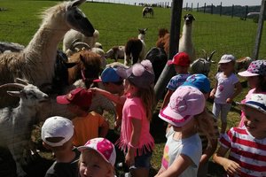 Wyjazd przedszkolaów  do Zagrody Edukacyjnej  w  ramach projektu pn. „Nowa Jakość Edukacji w Integracyjnym Przedszkolu Krasnala Hałabały” - 21.06.2019_14-46-4630.jpg