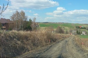 Droga k. Bełcha - img_20220412_135723.jpg