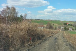 Droga k. Bełcha - img_20220412_135733.jpg