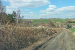 Droga k. Bełcha - img_20220412_135739.jpg