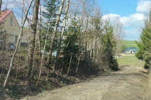 Droga k. Bełcha - img_20220412_135922.jpg