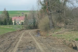 Droga k. Bełcha - img_20220420_141857.jpg