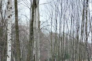 W trakcie realizacji - 20240212_121932.jpg