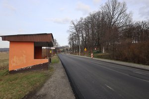 Broniszów droga wojewódzka - img_4149.jpg