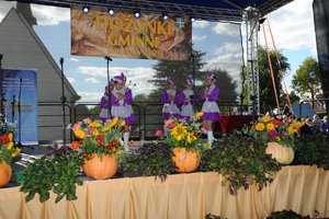 Dożynki Gminne - 5436.jpg