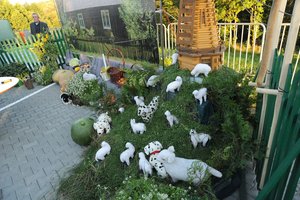 Dożynki Gminne - 5663.jpg