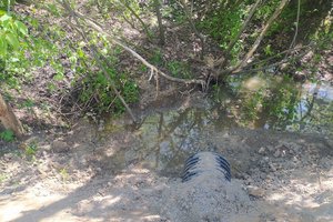 W trakcie realizacji - 018.jpg