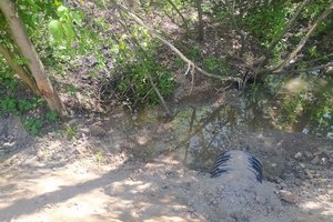 W trakcie realizacji - 019.jpg