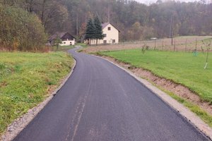 drogi nawsie - nawsie.jpg