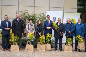 Sadzenie drzew miododajnych w Gminie Wielopole Skrzyńskie w 2021 r. - sadzenie_drzew_miododajnych.jpg