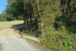 Nawsie Ochabówka - 20231012_113256.jpg