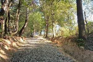 Nawsie Ochabówka - 20231012_113419.jpg