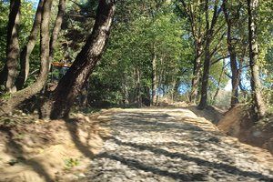 Nawsie Ochabówka - 20231012_113422.jpg