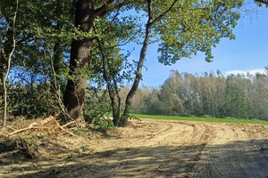 Nawsie Ochabówka - 20231012_113431.jpg