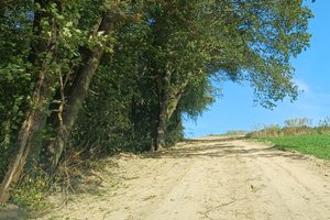 Nawsie Ochabówka - 20231012_113501.jpg