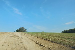 Nawsie Ochabówka - 20231012_113553.jpg