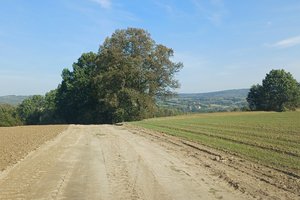 Nawsie Ochabówka - 20231012_113611.jpg