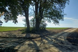 Nawsie Ochabówka - 20231012_113648.jpg