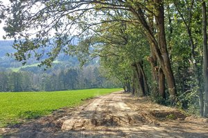 Nawsie Ochabówka - 20231012_113757.jpg