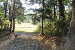 Nawsie Ochabówka - 20231012_114643.jpg