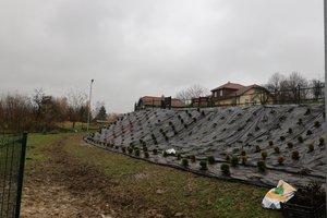 Plac Zabaw - img_3881.jpg