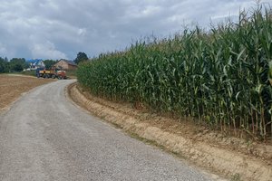 W trakcie realizacji - img-20250825-wa0006.jpg