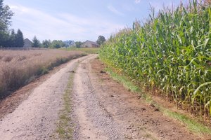 W trakcie realizacji - img_20250807_145933.jpg