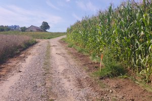 W trakcie realizacji - img_20250807_145957.jpg