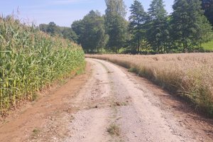 W trakcie realizacji - img_20250807_145959.jpg