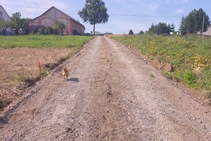 W trakcie realizacji - img_20250807_150129.jpg