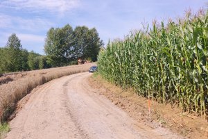 W trakcie realizacji - img_20250808_111827.jpg