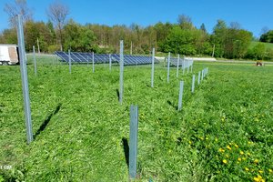 Realizacja zadania - 2.jpg