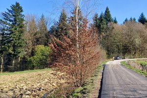 W trakcie realizacji Glinik - b13.jpg