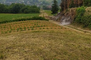 W trakcie realizacji - 030.jpg